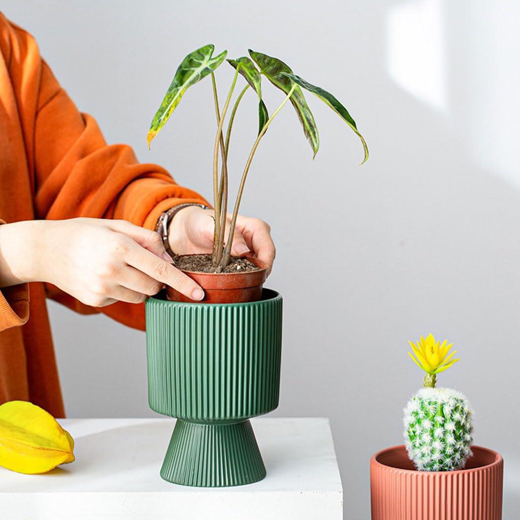 PLANTERS