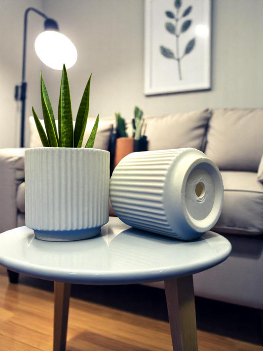 Urban Vibe Pot – Matte Finish Ceramic Planter